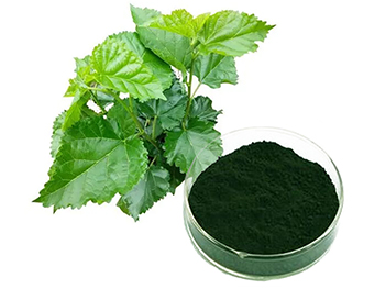 Why is Sodium Copper Chlorophyllin Powder Becoming a Popular Choice for Manufacturers?